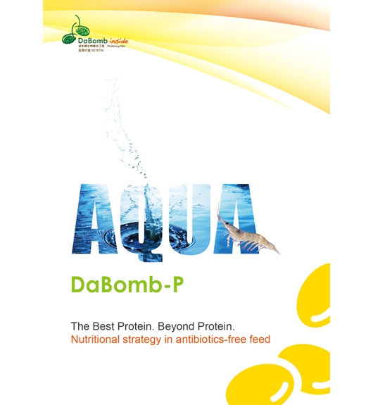 DaBomb-P (Aqua)(圖)