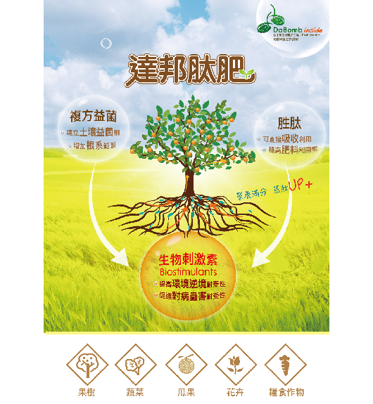 達邦肽肥(圖)