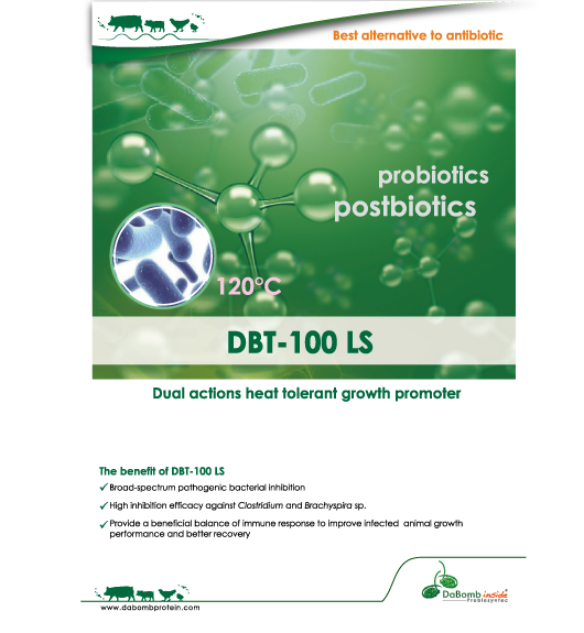DBT-100 LS(圖)
