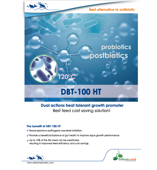 DBT-100 HT(圖)
