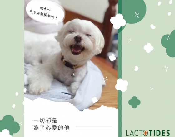 一切只為了心愛的她(圖)