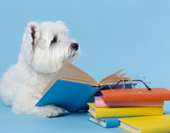 什麼是後生元？後生元跟益生菌有什麼差別呢？(圖)