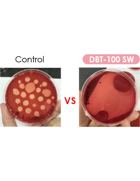 DBT-100 SW
